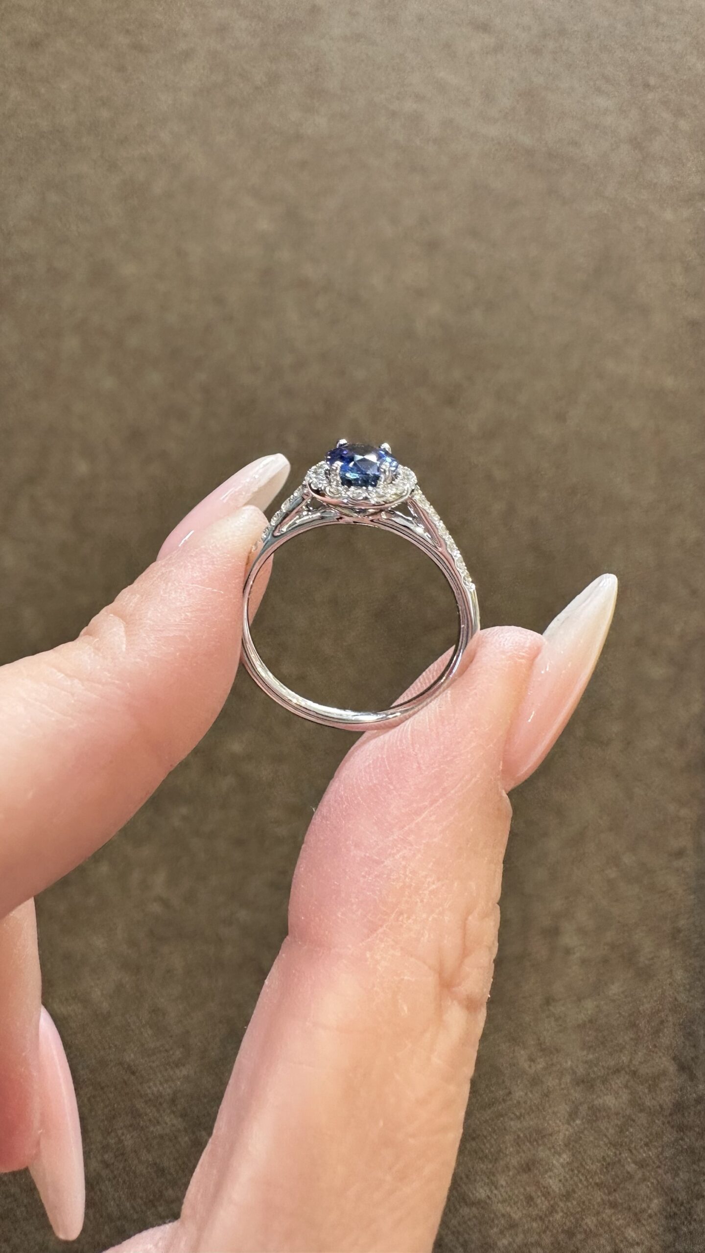 14k White Gold Genuine 1.35 Cttw Ceylon Sapphire & .26 Cttw Diamond Halo Ring - Image 25