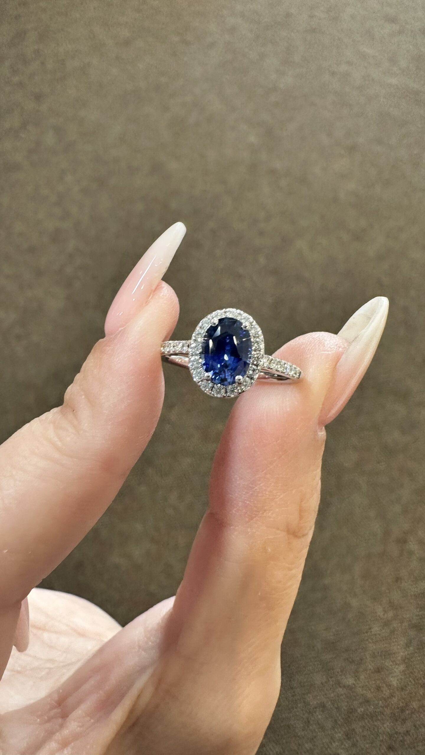 14k White Gold Genuine 1.35 Cttw Ceylon Sapphire & .26 Cttw Diamond Halo Ring - Image 4