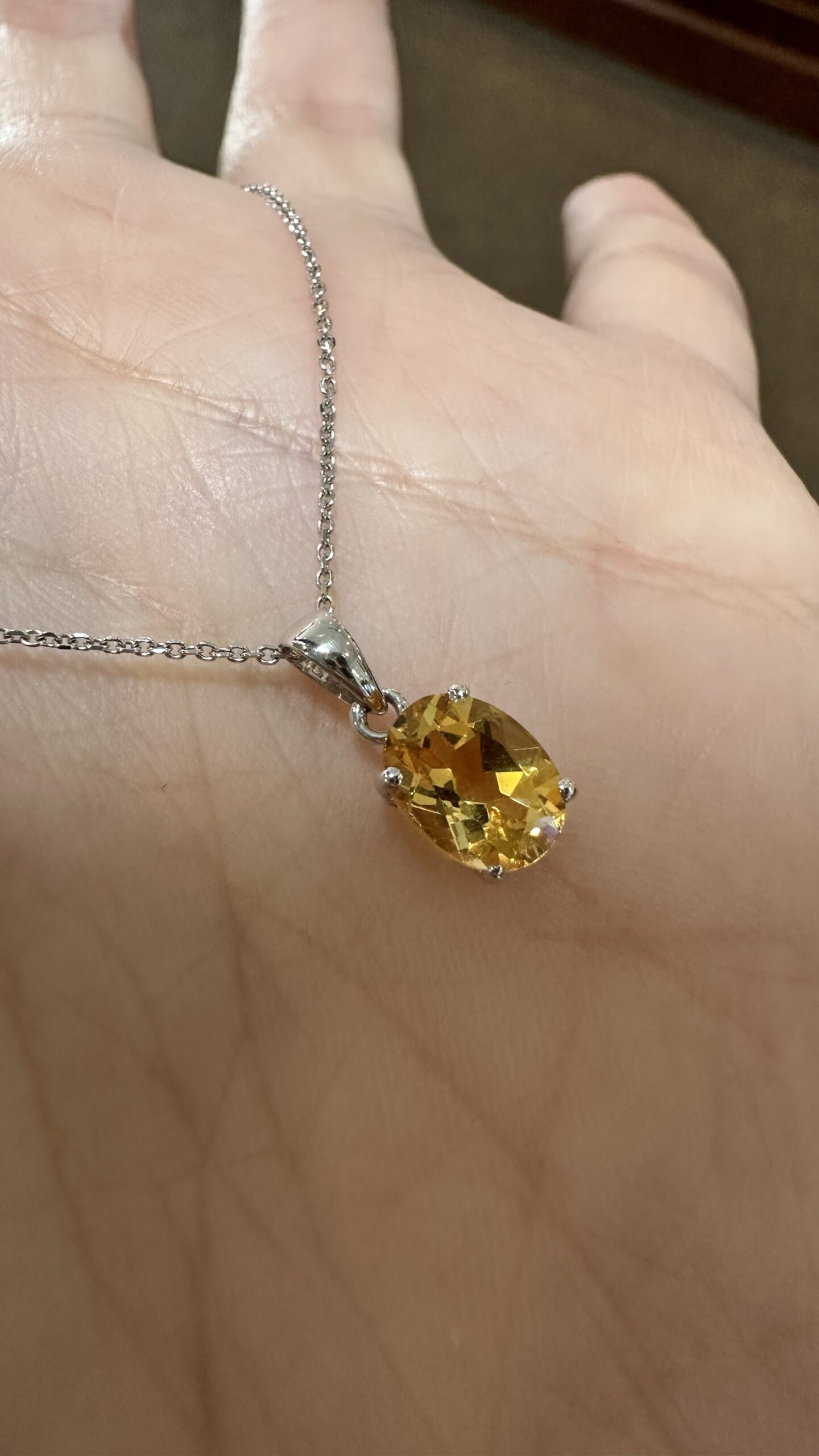 Butterfly Glory Diamond Necklace | Radiant Bay