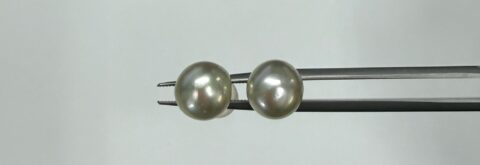 18k Yellow Gold 8.75 MM South Sea Pearl Stud Earrings