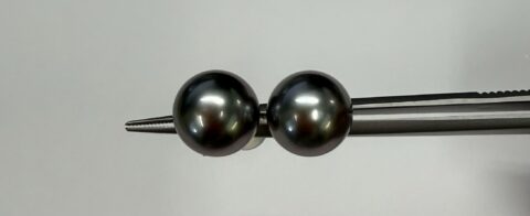18k White Gold 10.75 MM South Sea Pearl Stud Earrings